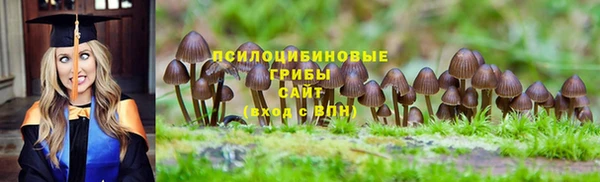 крисы Баксан
