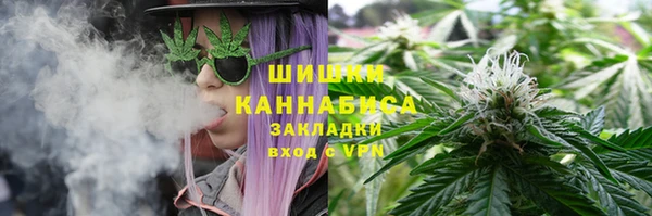 крисы Баксан